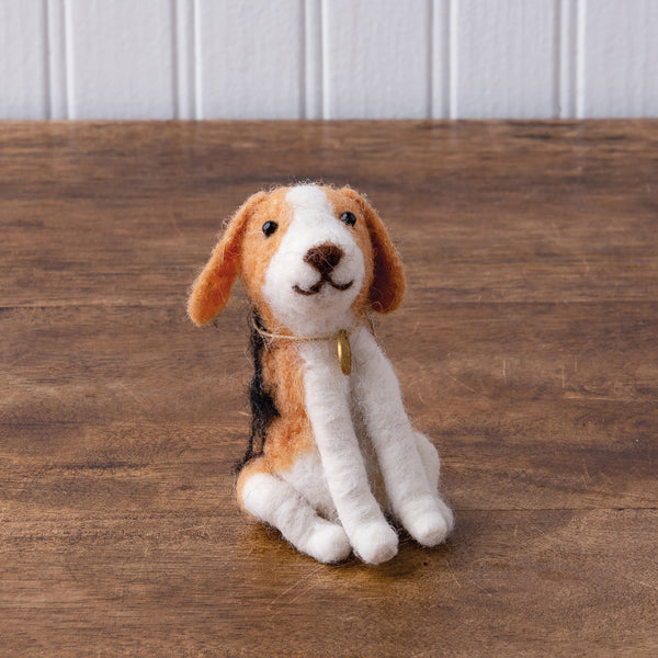 Beagle Puppy