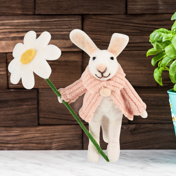 Daisy Bunny